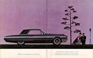 1964 Ford Thunderbird-12-13.jpg